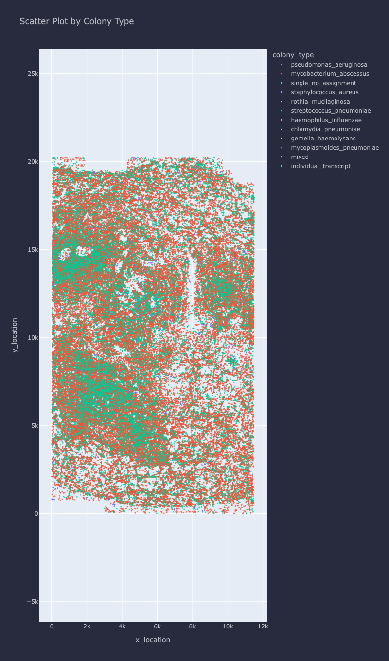 Whole tissue section with every transcript coloured by colony type.